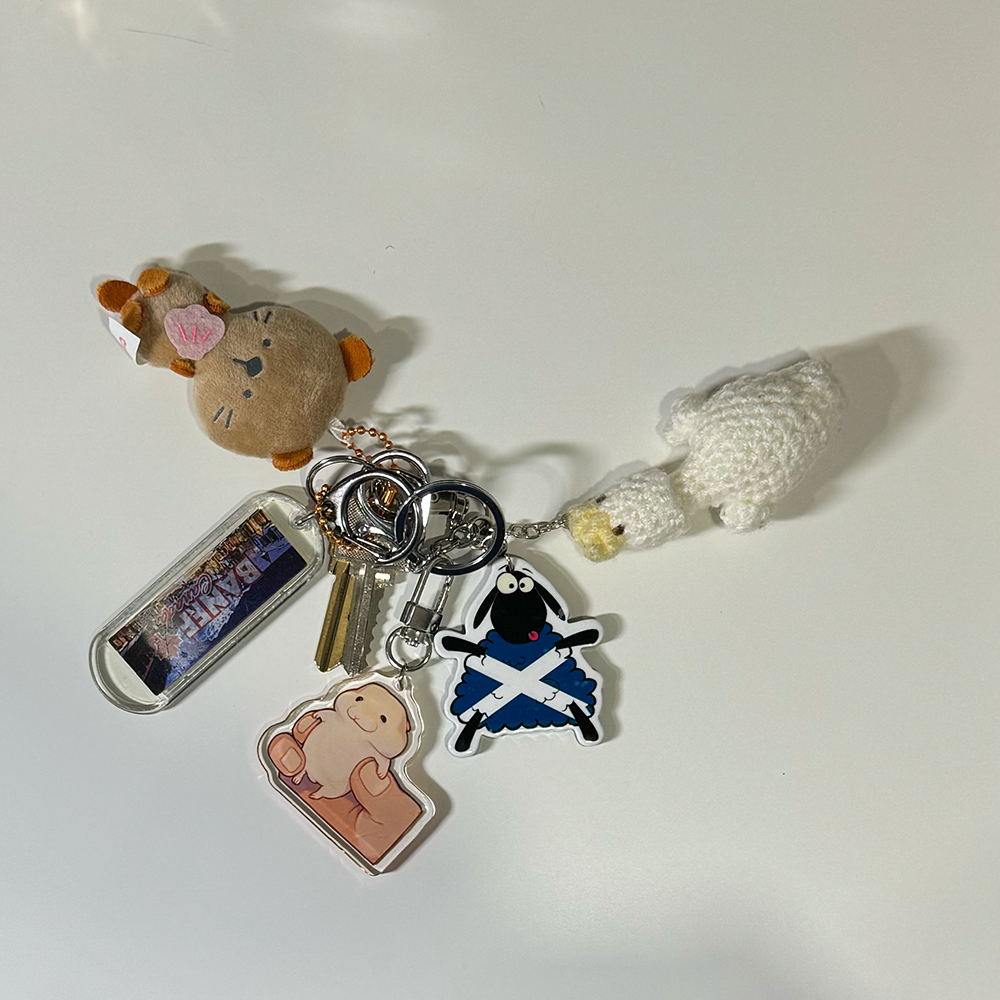 This is audio of my keychain jangling as that is how my roommates and I can tell when one another arrives home.