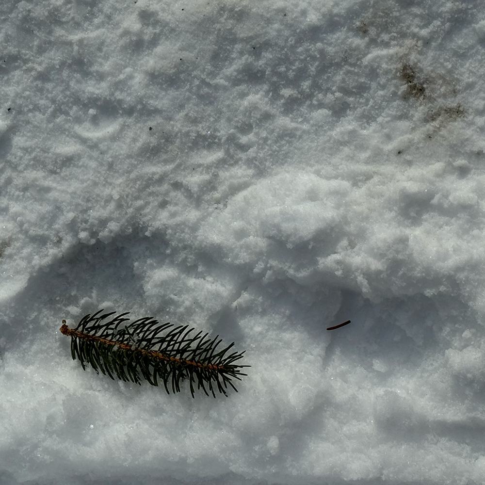 This is audio of me walking in fresh snow on my way to school.