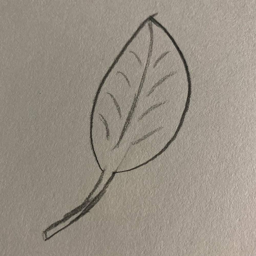 Leaf drawn by my cousin my mom's that was later digitized in Adobe Illustrator.