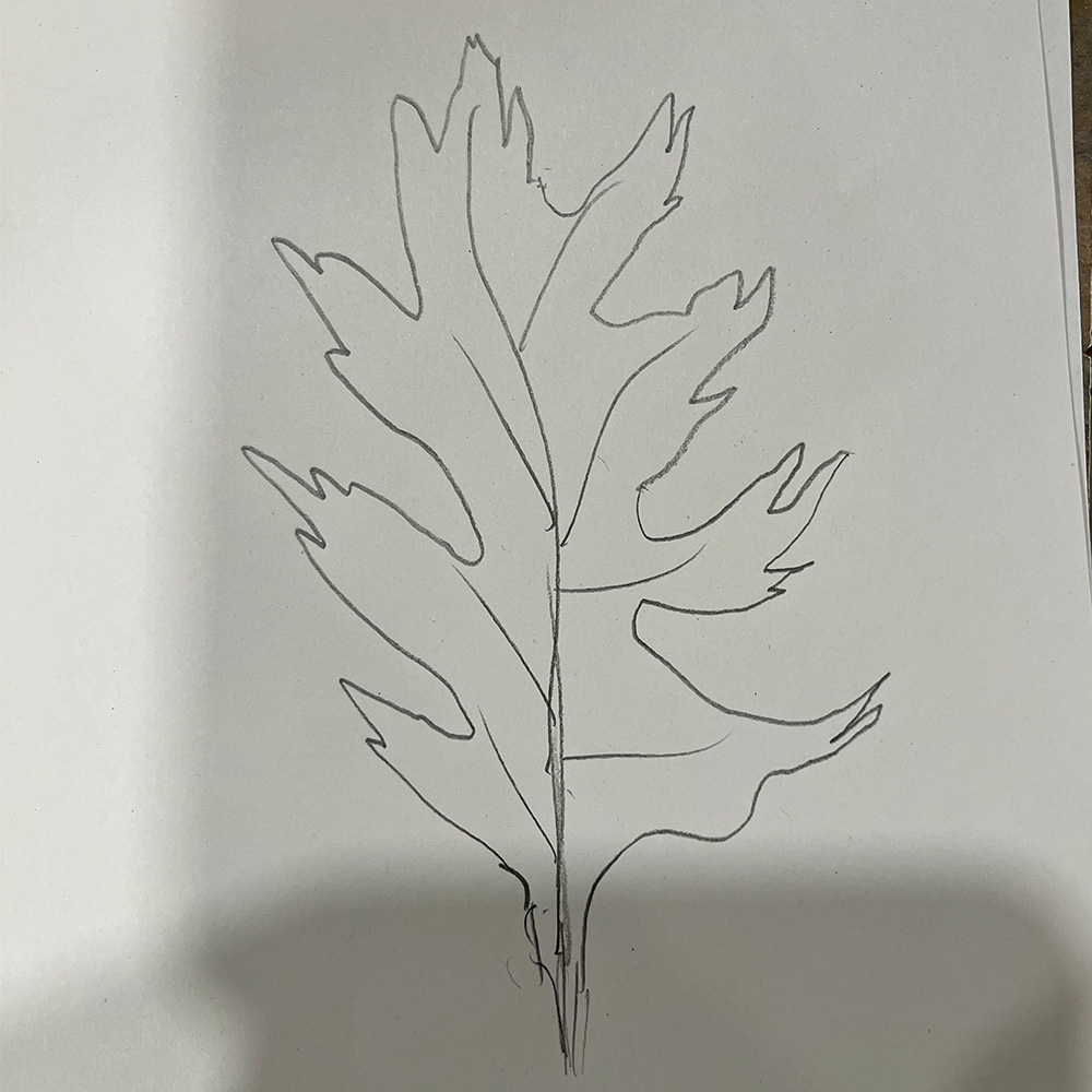 Leaf drawn by my grandmother on my mom's that was later digitized in Adobe Illustrator.
