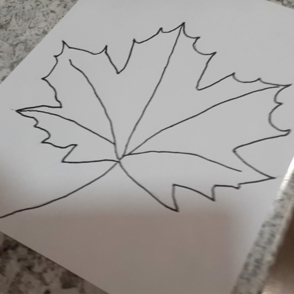 Leaf drawn by my grandfather on my dad's that was later digitized in Adobe Illustrator.