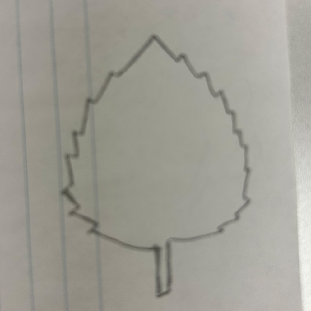 Leaf drawn by my aunt on my mom's that was later digitized in Adobe Illustrator.