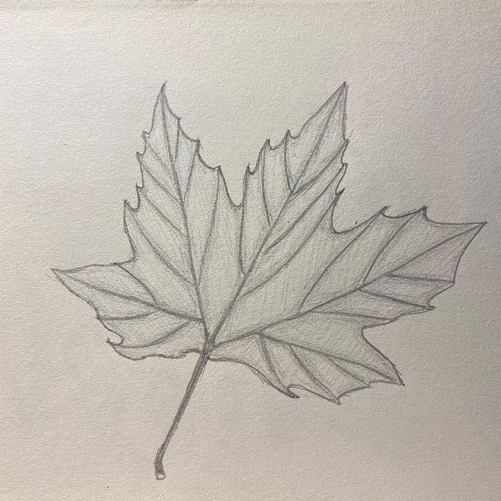 Leaf drawn by my cousin on my dad's that was later digitized in Adobe Illustrator.